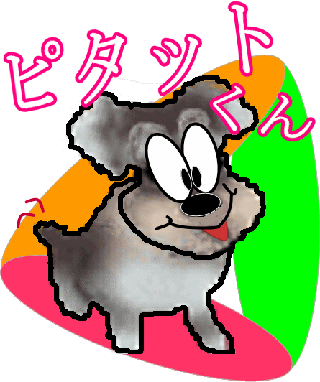 �X�x���h���@�s�^�b�g